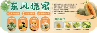 哈密瓜 东风晓蜜图片
