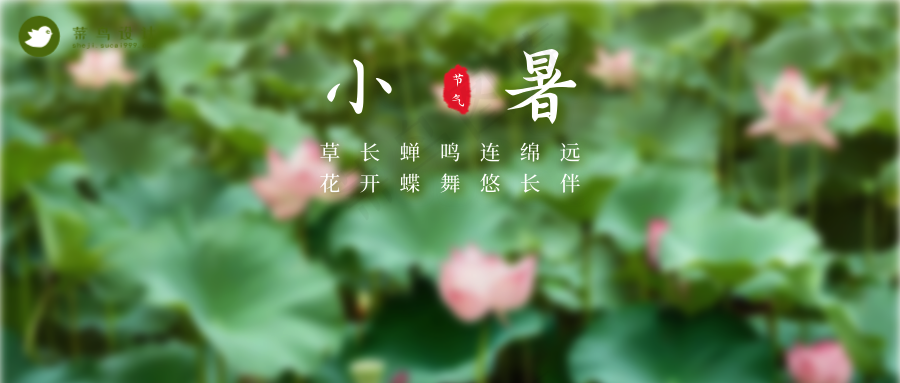 小暑公众号首图