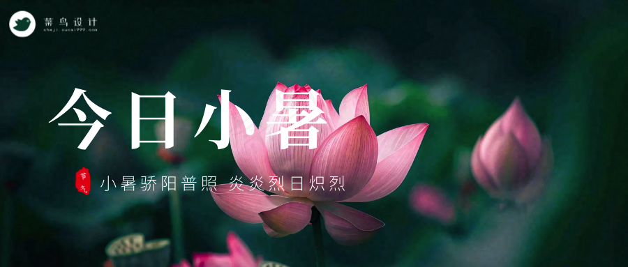 小暑公众号首图