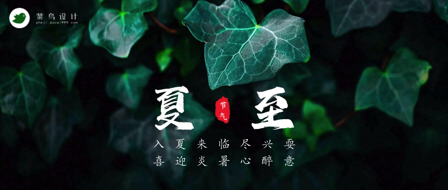 夏至公众号首图