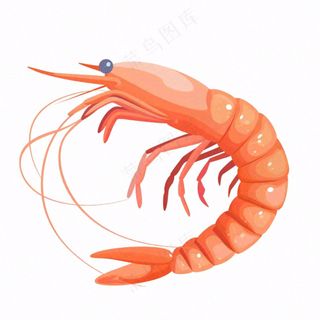 虾基围虾食物海洋卡通插画免抠