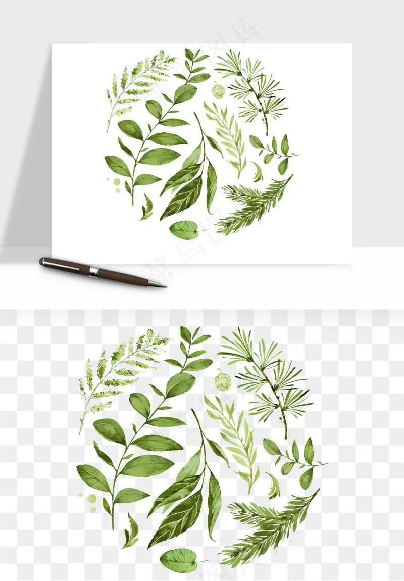 清新手绘植物png免抠