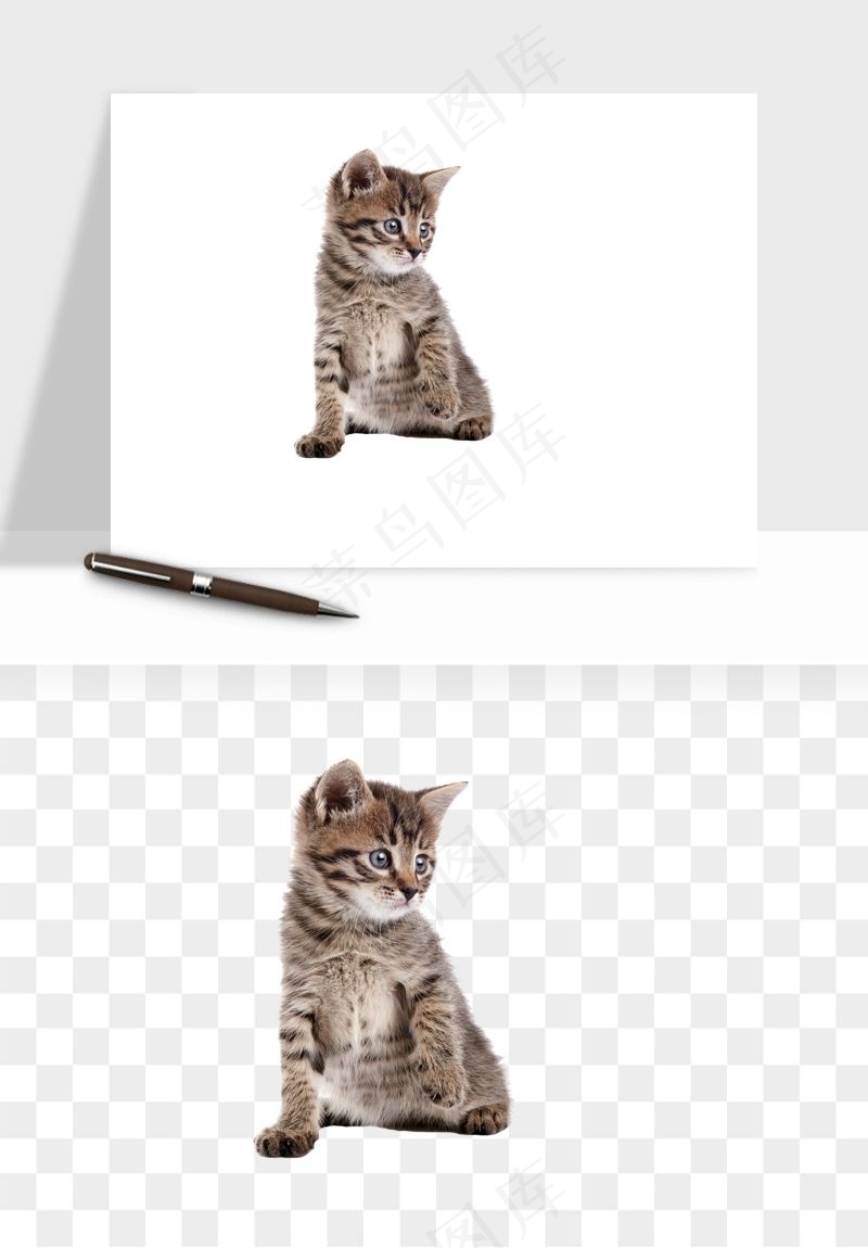 猫咪喵星人狗狗宠物元素png免抠