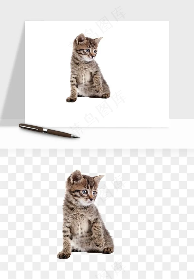 猫咪喵星人狗狗宠物元素png免抠