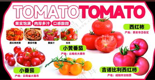 番茄系列吊牌设计