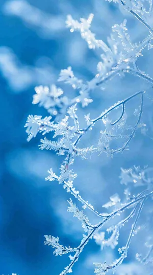 冬天寒冷白雪结冰小寒摄影图