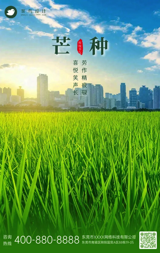 芒种手机海报