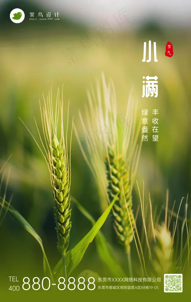 小满手机海报