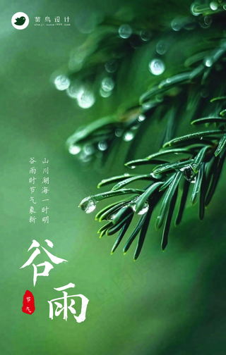 谷雨手机海报