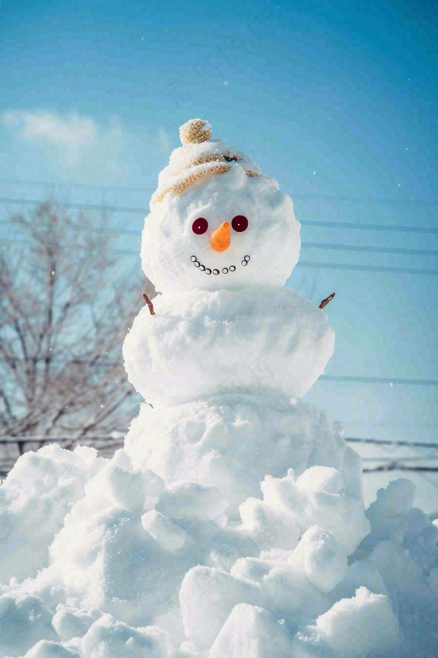 冬天雪地里的雪人可爱唯美立冬冬至小雪大雪摄影图