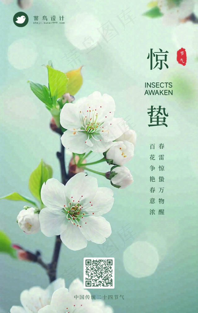 惊蛰手机海报