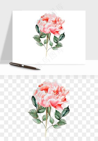 水彩复古花卉png免抠