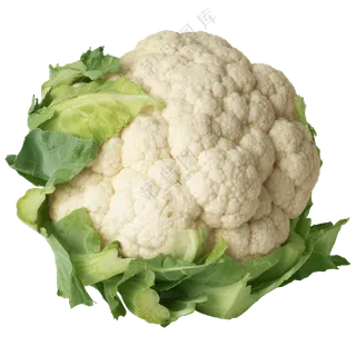 一颗花球紧实的松花菜免抠图片素材