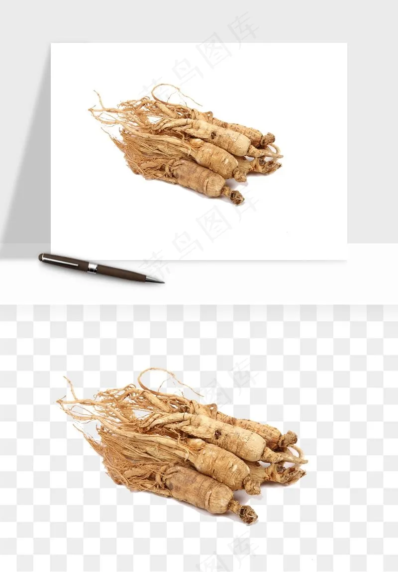 人参养生药材png免抠