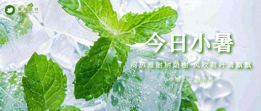 小暑公众号首图