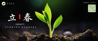 立春公众号首图