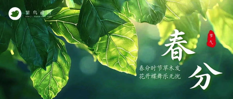 春分公众号首图