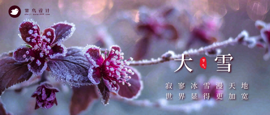 大雪公众号首图