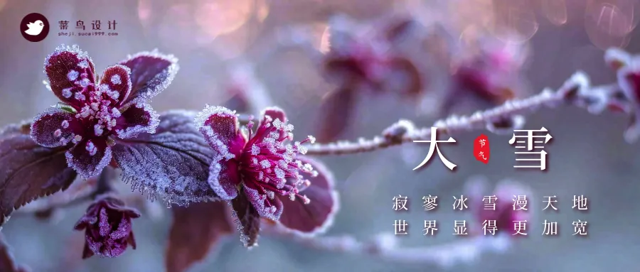大雪公众号首图
