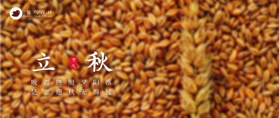 立秋公众号首图