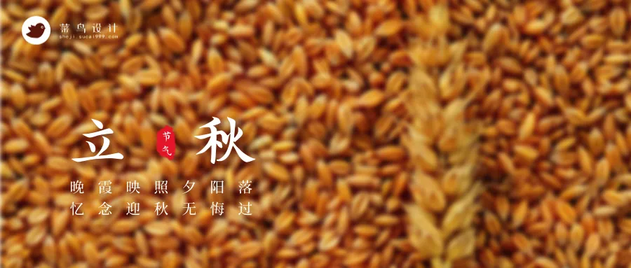 立秋公众号首图