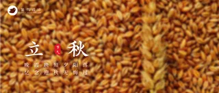 立秋公众号首图