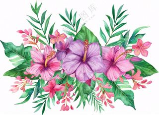 花艺插画植物花朵水彩免抠