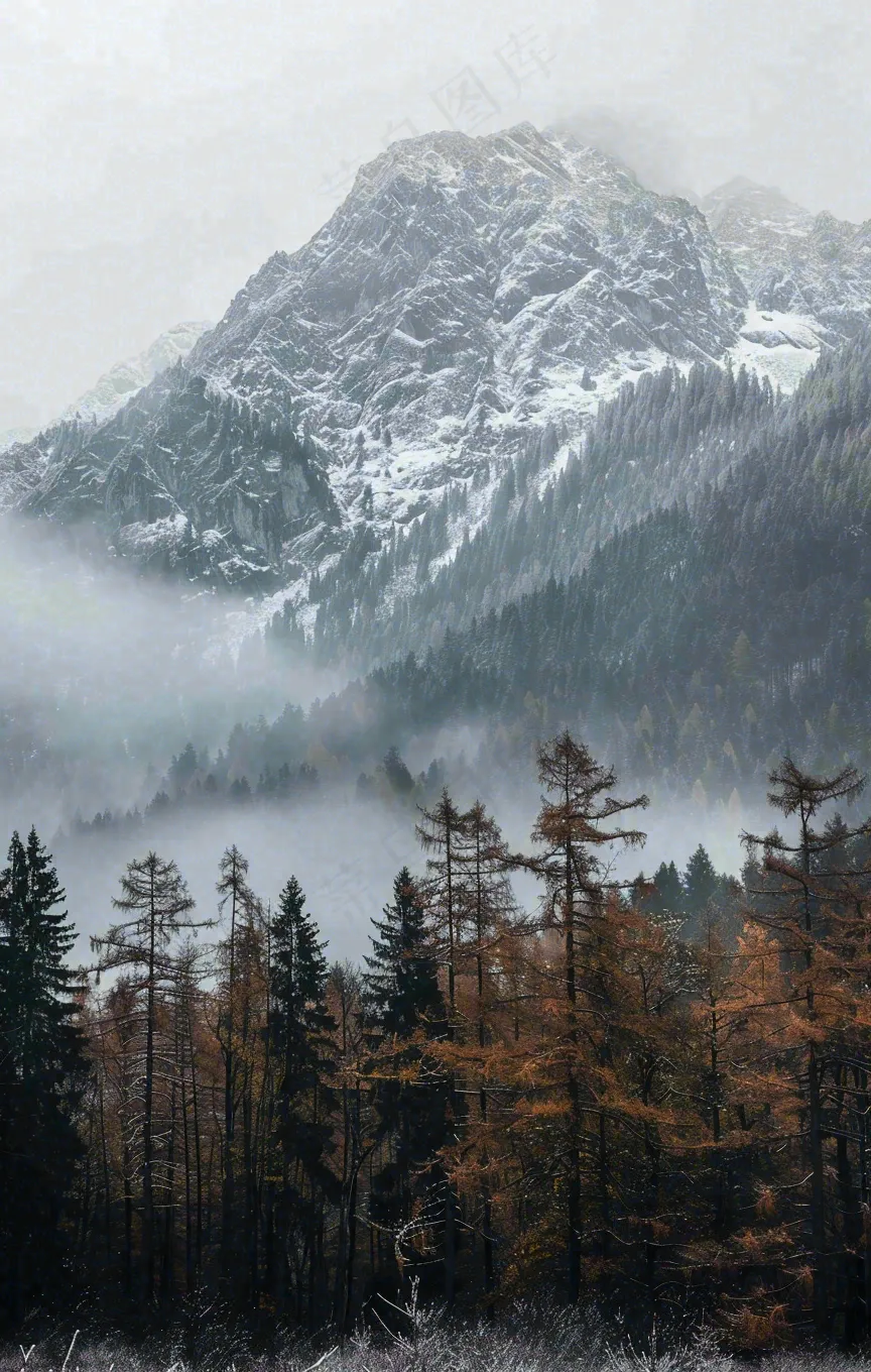 秋天森林山脉清晨起雾大自然风光寒露摄影图