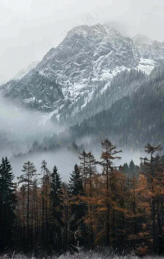 秋天森林山脉清晨起雾大自然风光寒露摄影图