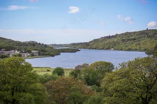 宁静湖畔的翠绿风光