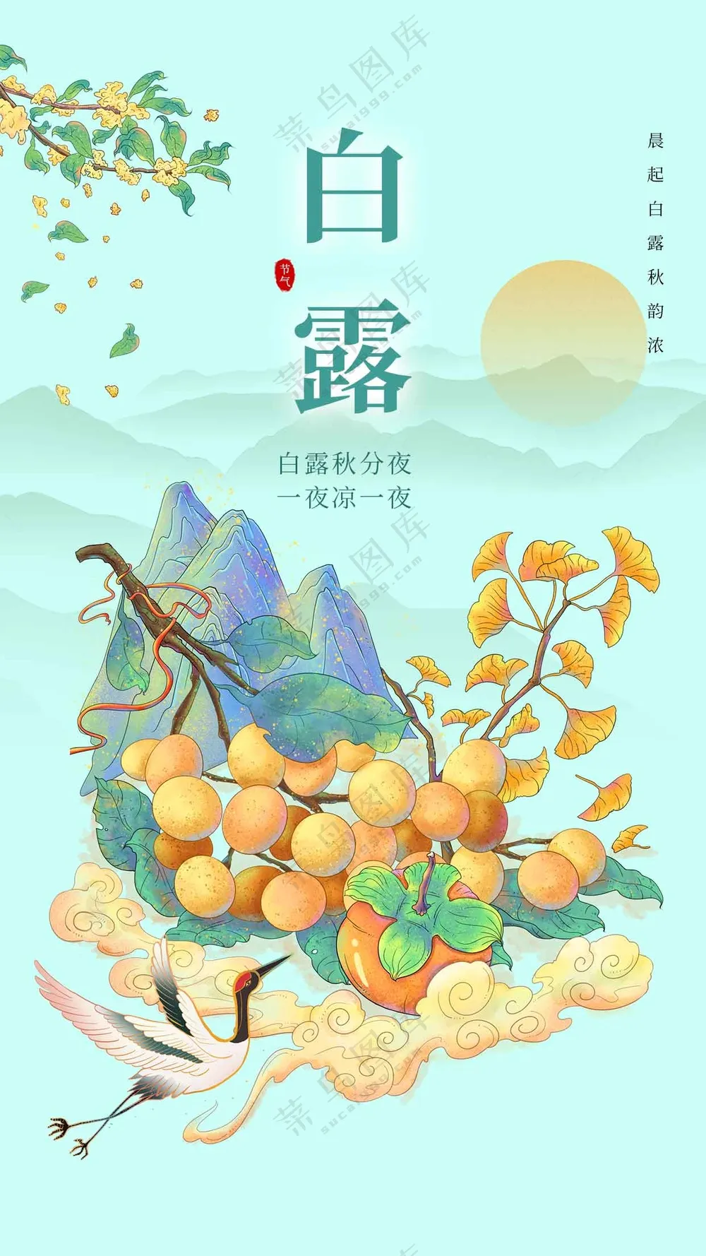 白露节气传统活动海报