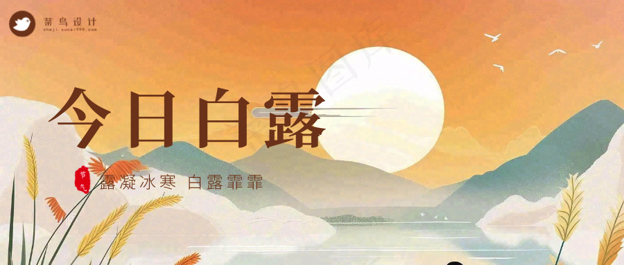 白露公众号首图