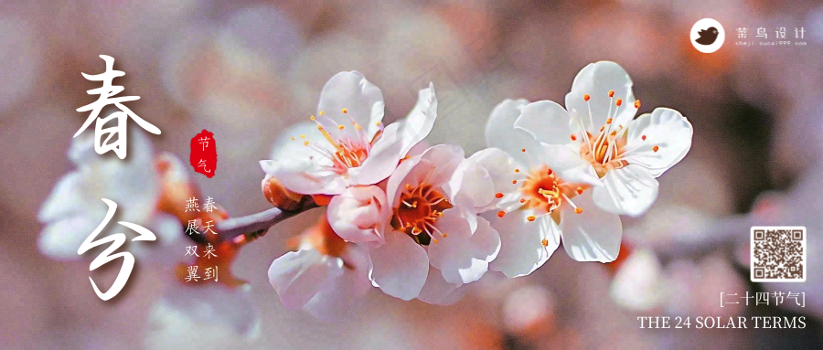 春分公众号首图