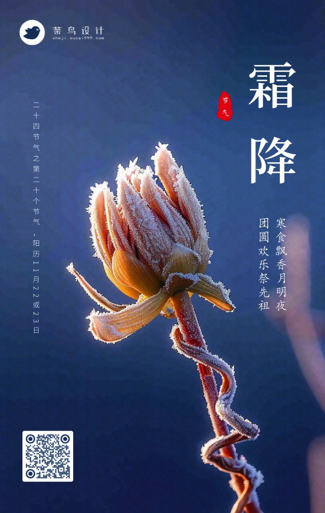 小雪手机海报