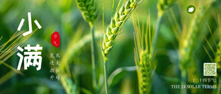 小满公众号首图