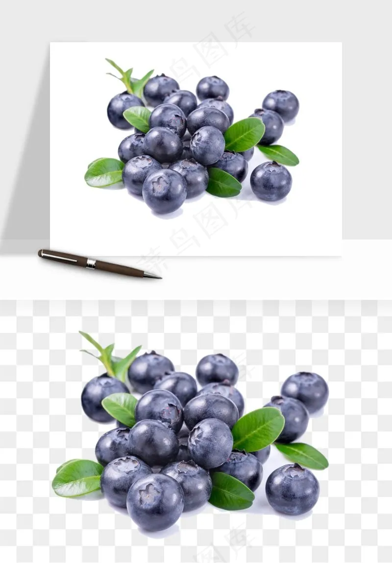 蓝莓水果png免抠