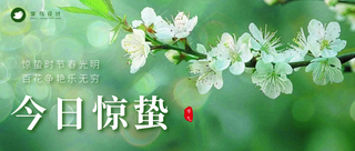 惊蛰公众号首图