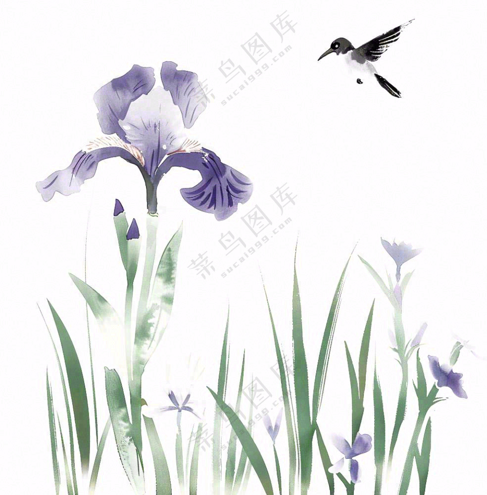 水墨画兰花鸟类紫色兰花插画免抠