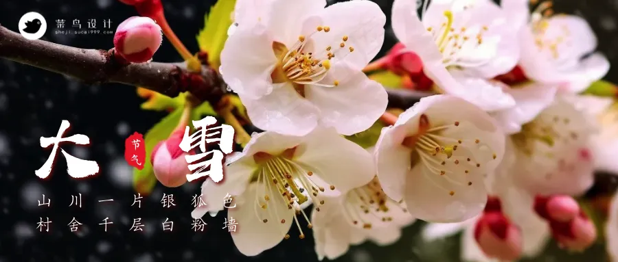 大雪公众号首图