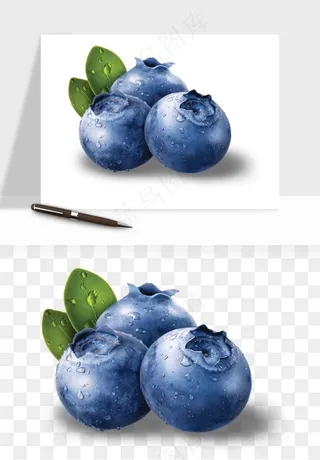 蓝莓水果png免抠