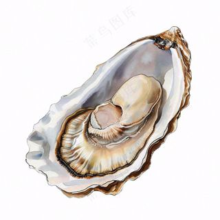 生蚝海鲜海洋卡通插画免抠