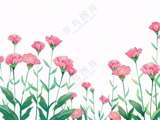 康乃馨鲜花花丛植物插画免抠