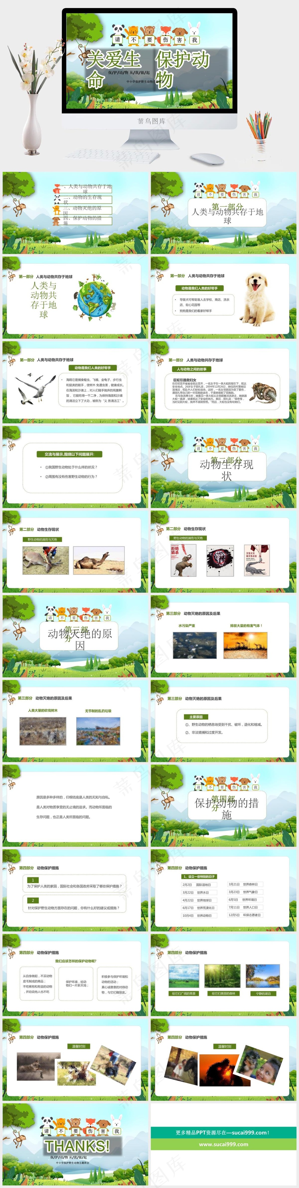 保护野生动物绿色环保PPT 