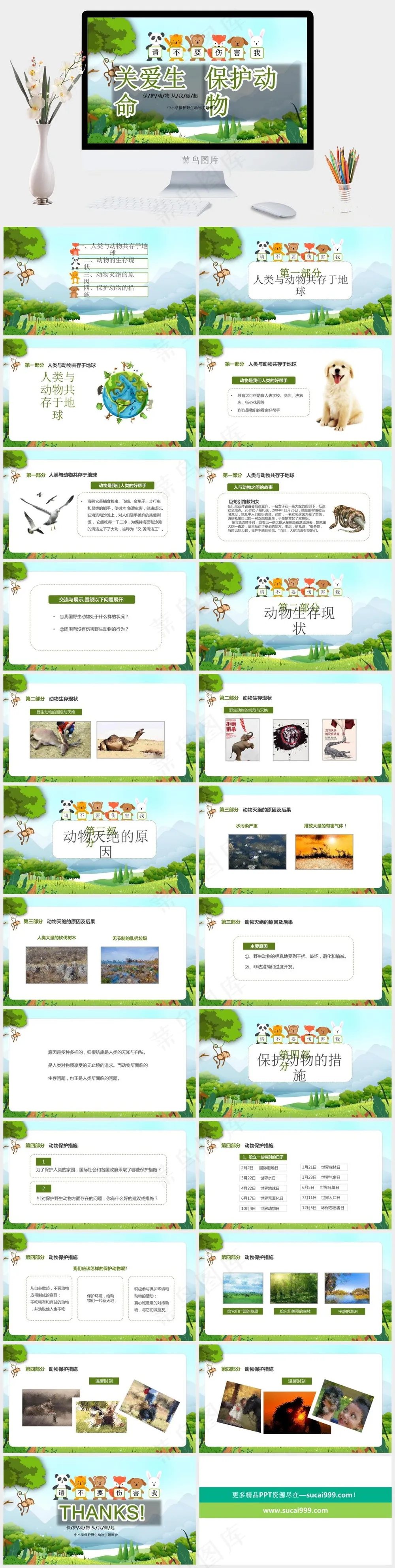 保护野生动物绿色环保PPT 