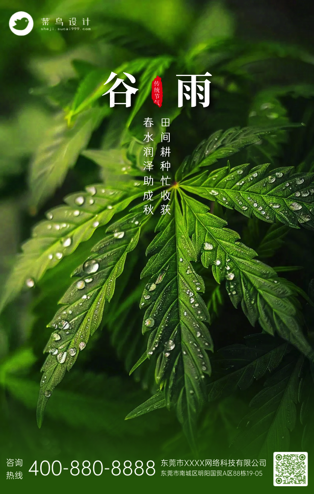 谷雨手机海报