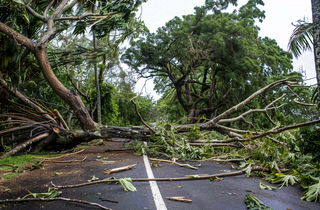 台风预警天气自然灾害