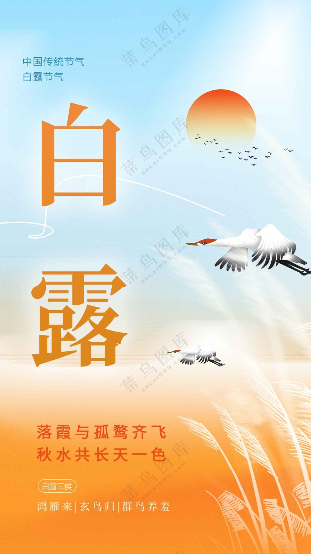 白露节气传统海报