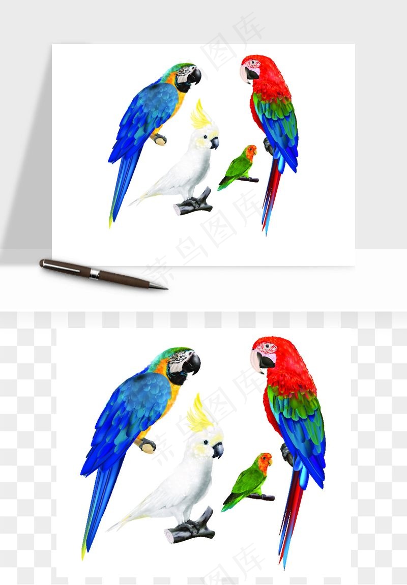 小鸟手绘矢量
