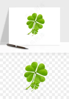 手绘四叶草幸运植物png免抠