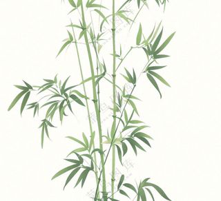 绿竹竹子绿植水墨画插画免抠